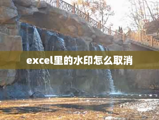 excel里的水印怎么取消