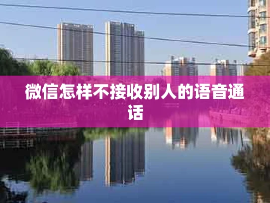 微信怎样不接收别人的语音通话