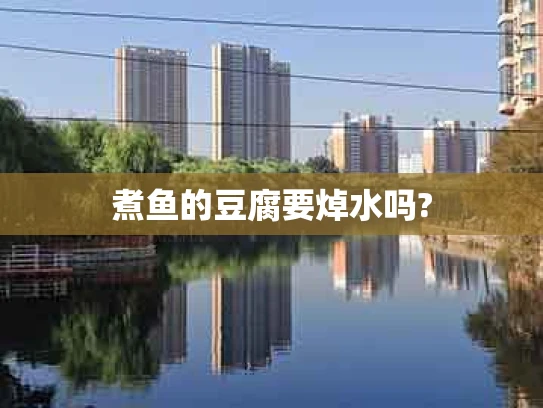 煮鱼的豆腐要焯水吗?