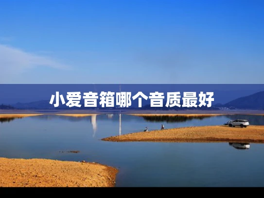 小爱音箱哪个音质最好