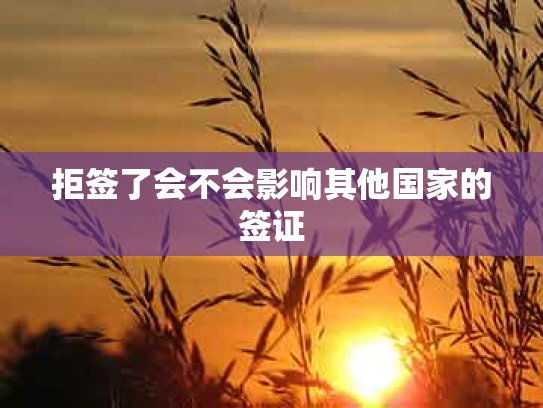 拒签了会不会影响其他国家的签证