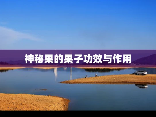 神秘果的果子功效与作用