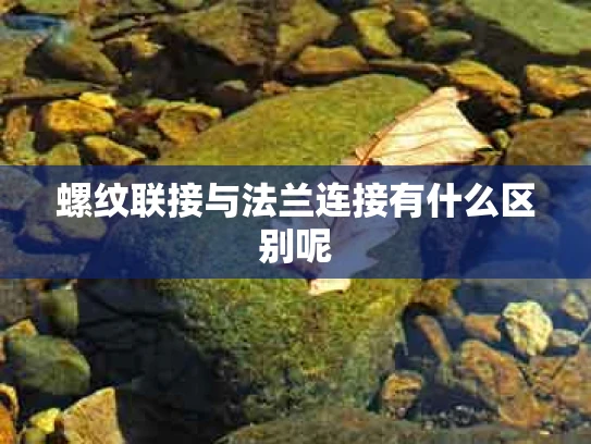 螺纹联接与法兰连接有什么区别呢