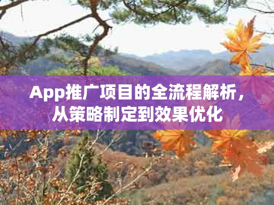 App推广项目的全流程解析，从策略制定到效果优化
