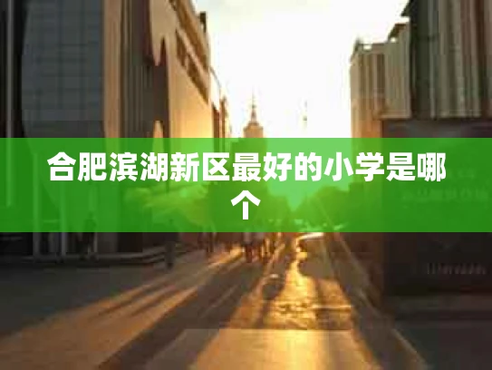 合肥滨湖新区最好的小学是哪个