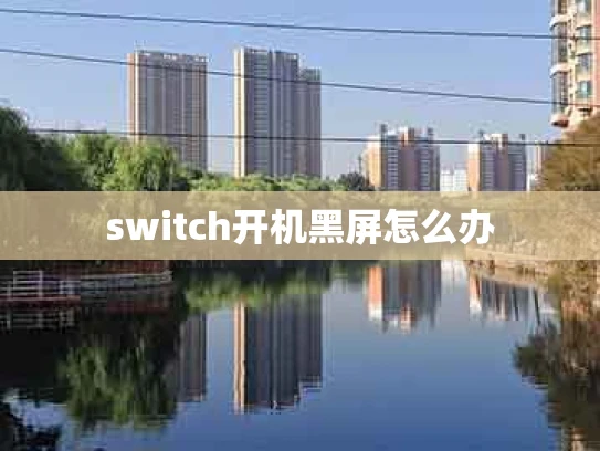 switch开机黑屏怎么办