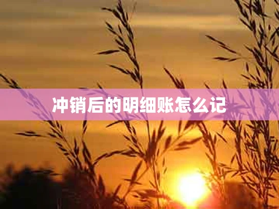 冲销后的明细账怎么记