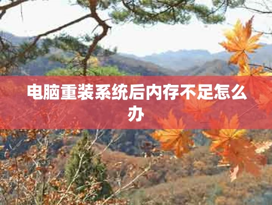 电脑重装系统后内存不足怎么办