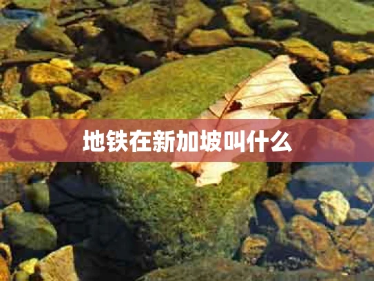 地铁在新加坡叫什么