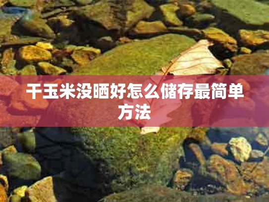 干玉米没晒好怎么储存最简单方法