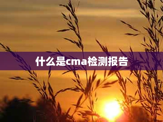 什么是cma检测报告
