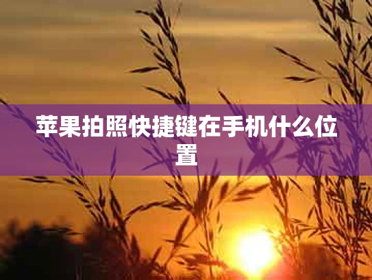 苹果拍照快捷键在手机什么位置