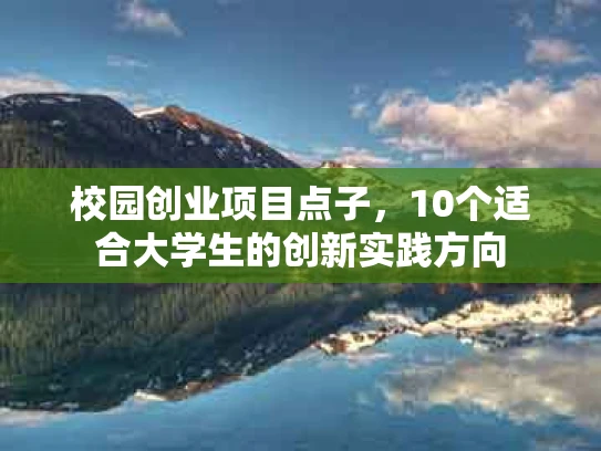 校园创业项目点子，10个适合大学生的创新实践方向