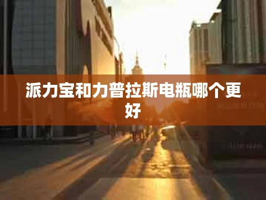 派力宝和力普拉斯电瓶哪个更好
