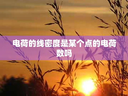 电荷的线密度是某个点的电荷数吗