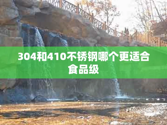 304和410不锈钢哪个更适合食品级