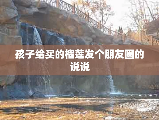 孩子给买的榴莲发个朋友圈的说说