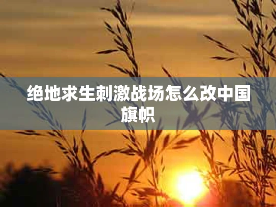 绝地求生刺激战场怎么改中国旗帜