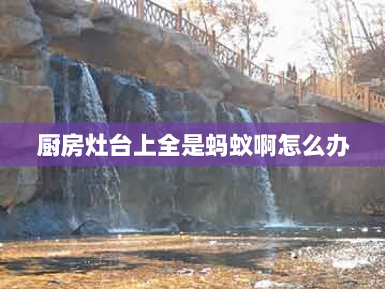 厨房灶台上全是蚂蚁啊怎么办