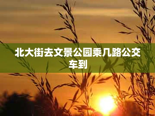 北大街去文景公园乘几路公交车到
