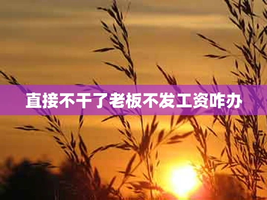 直接不干了老板不发工资咋办