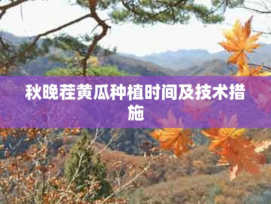 秋晚茬黄瓜种植时间及技术措施