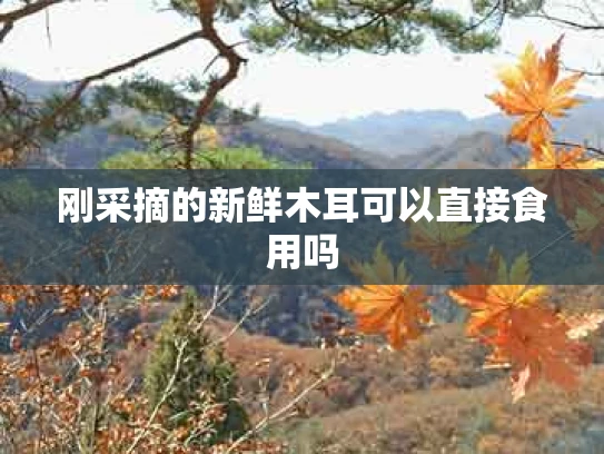刚采摘的新鲜木耳可以直接食用吗