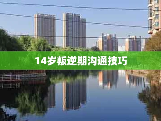 14岁叛逆期沟通技巧