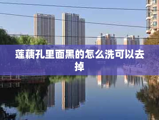 莲藕孔里面黑的怎么洗可以去掉