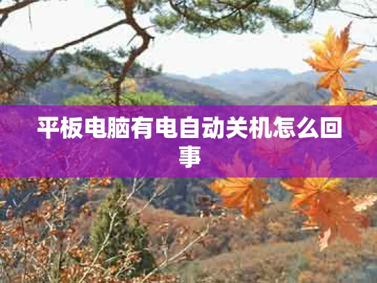平板电脑有电自动关机怎么回事