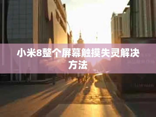 小米8整个屏幕触摸失灵解决方法