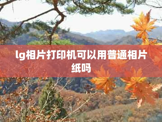 lg相片打印机可以用普通相片纸吗