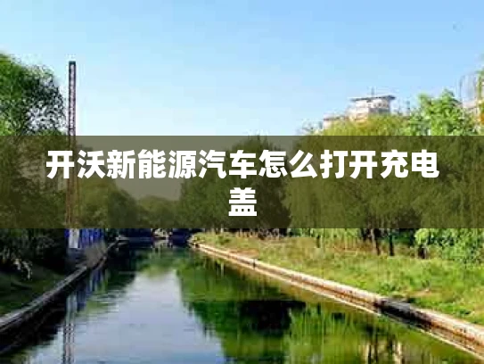 开沃新能源汽车怎么打开充电盖