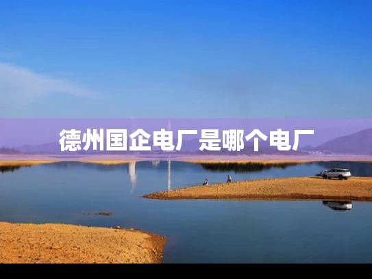 德州国企电厂是哪个电厂