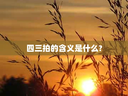 四三拍的含义是什么?