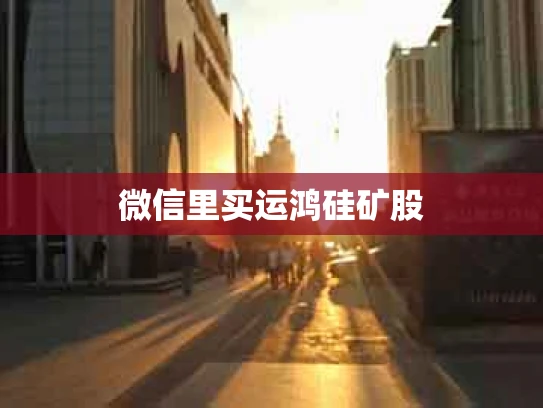 微信里买运鸿硅矿股