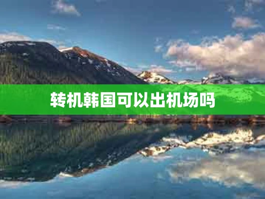 转机韩国可以出机场吗
