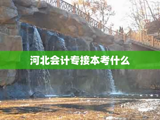 河北会计专接本考什么