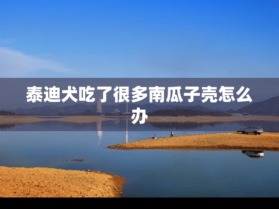 泰迪犬吃了很多南瓜子壳怎么办