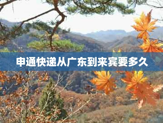 申通快递从广东到来宾要多久
