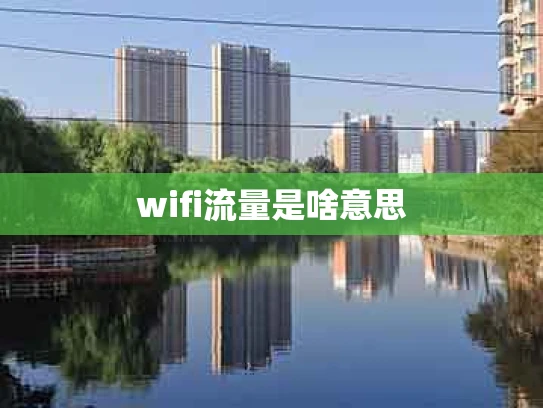 wifi流量是啥意思