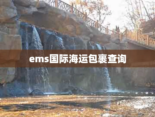 ems国际海运包裹查询