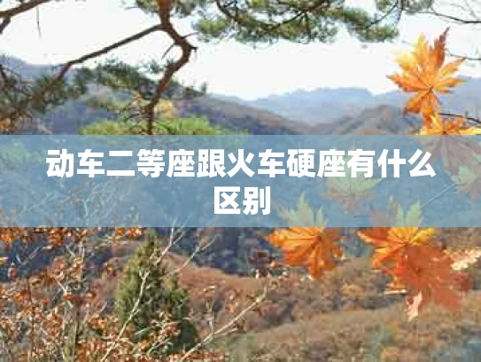 动车二等座跟火车硬座有什么区别