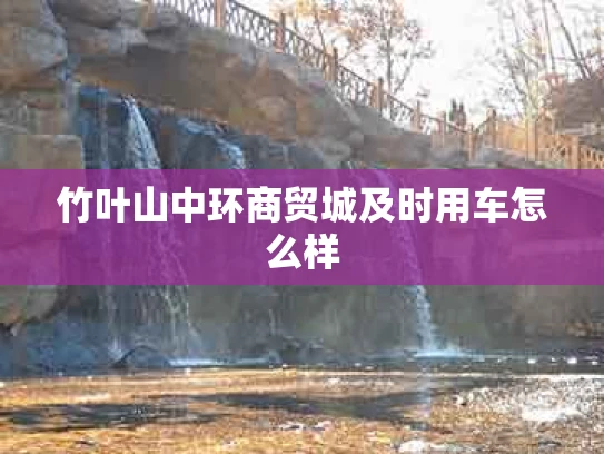 竹叶山中环商贸城及时用车怎么样