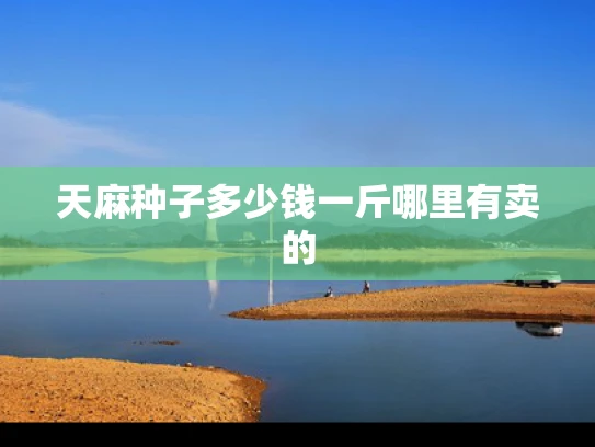 天麻种子多少钱一斤哪里有卖的