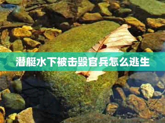 潜艇水下被击毁官兵怎么逃生