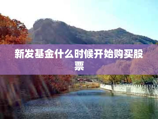 新发基金什么时候开始购买股票