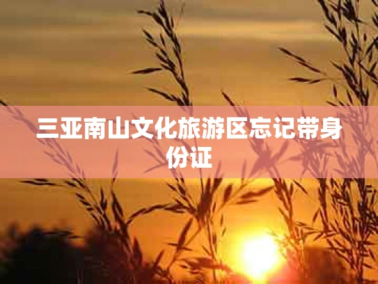 三亚南山文化旅游区忘记带身份证