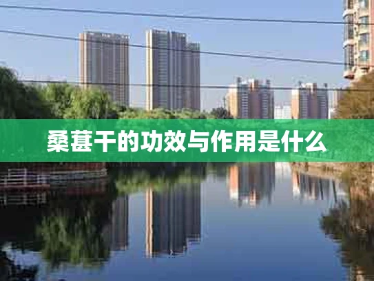 桑葚干的功效与作用是什么