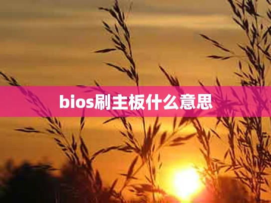 bios刷主板什么意思